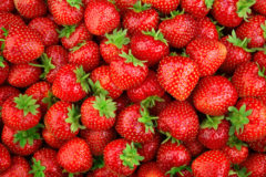 when-are-strawberries-in-season