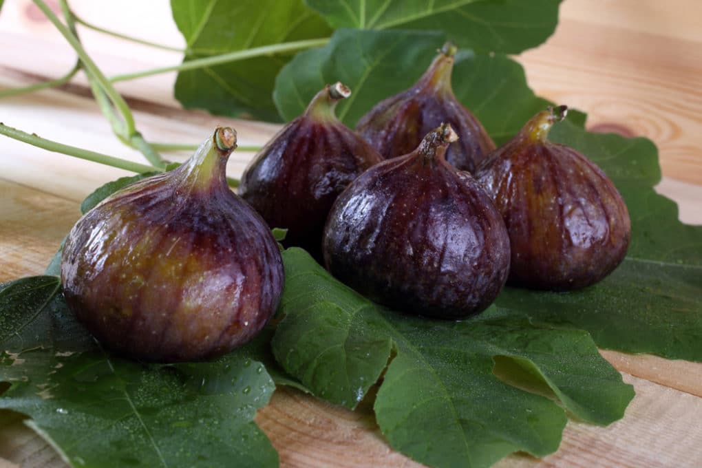 How to Ripen Figs » Top Tips & Facts