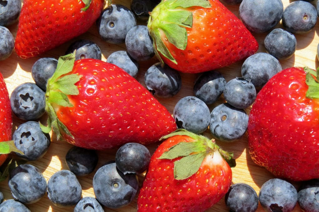 Blueberry Companion Plants » Know Their Friends