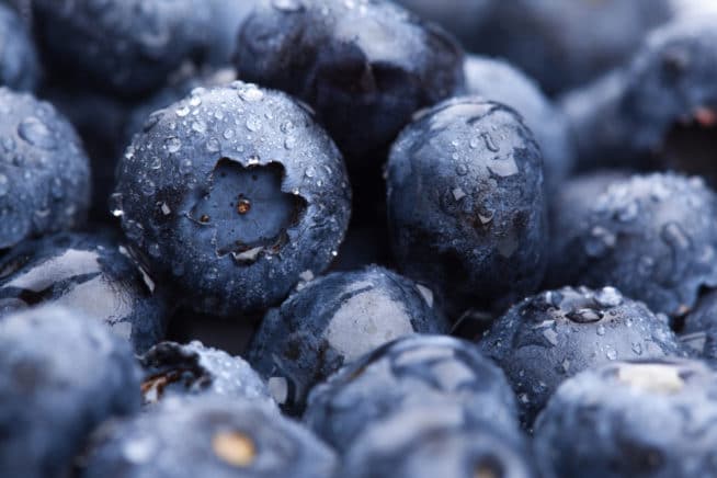 Growing Blueberries From Seed » Top Tips