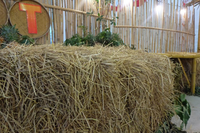 Growing Potatoes in Straw Bales is Easy