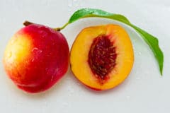 how-to-plant-a-peach-seed