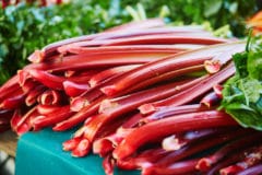 when-is-rhubarb-ready-to-pick