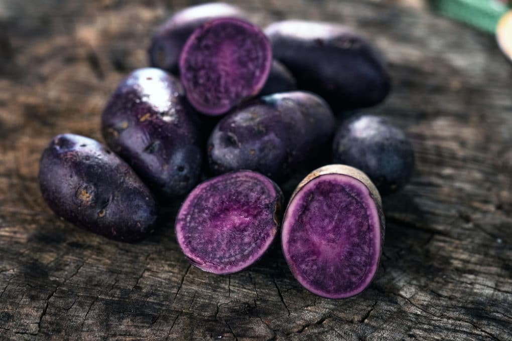 what-are-seed-potatoes-how-to-use-them-in-the-garden