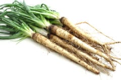 growing-salsify