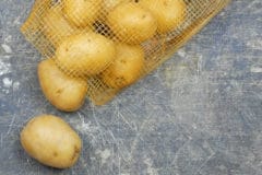 growing-yukon-gold-potatoes