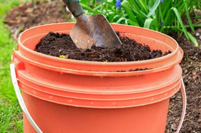 potato-fertilizer