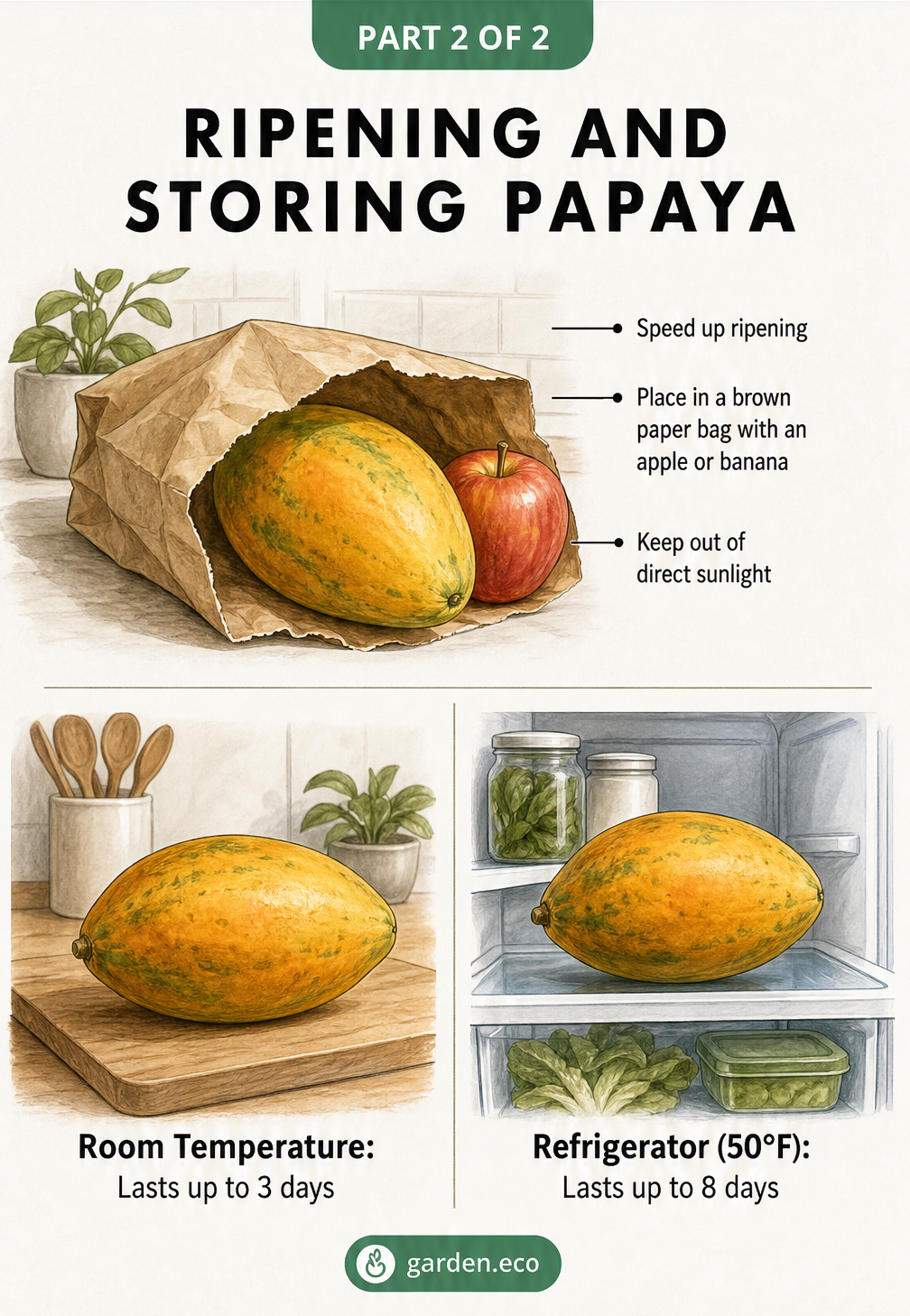 Illustration demonstrating how to ripen a papaya in a brown paper bag with an apple, and storage timelines for the counter and refrigerator.