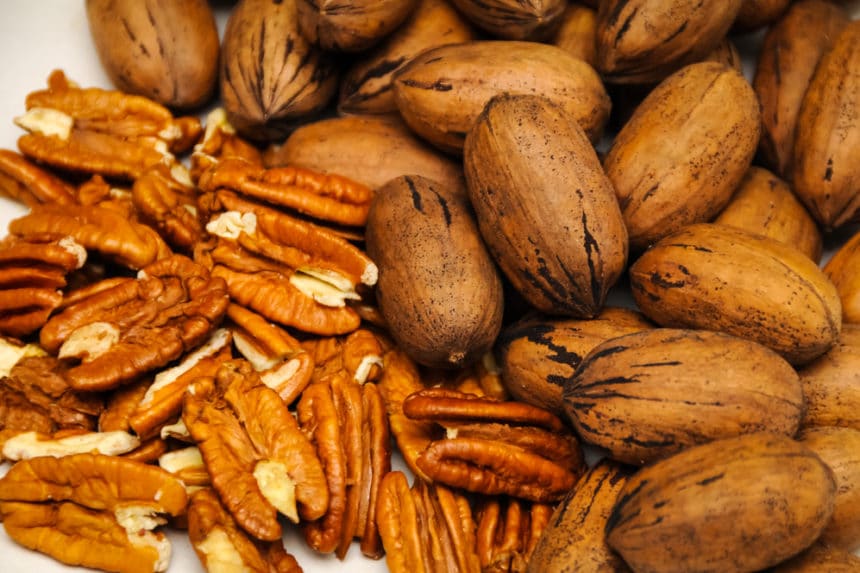 Where Are Pecans Grown? » Top Facts