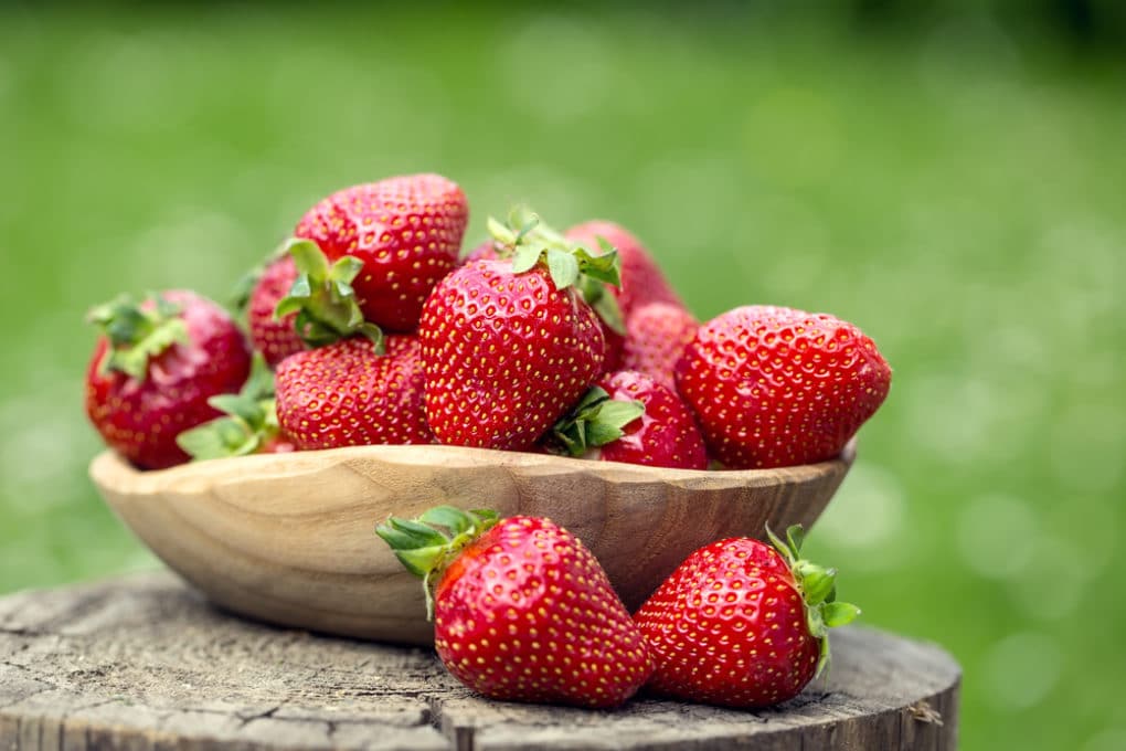 Strawberries in Water » Tips on Hydroponics