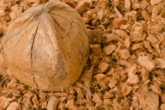 coconut-mulch