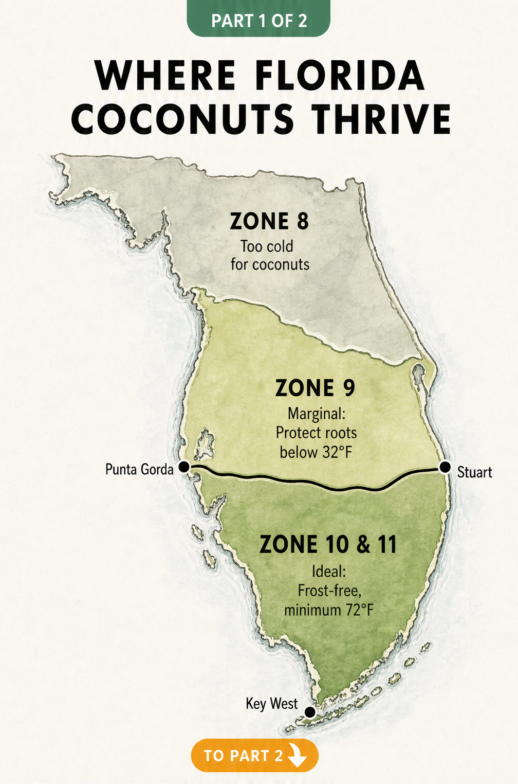 Illustrated map of Florida showing USDA growing zones 8, 9, and 10 to indicate where coconut palms can thrive and survive winter temperatures.