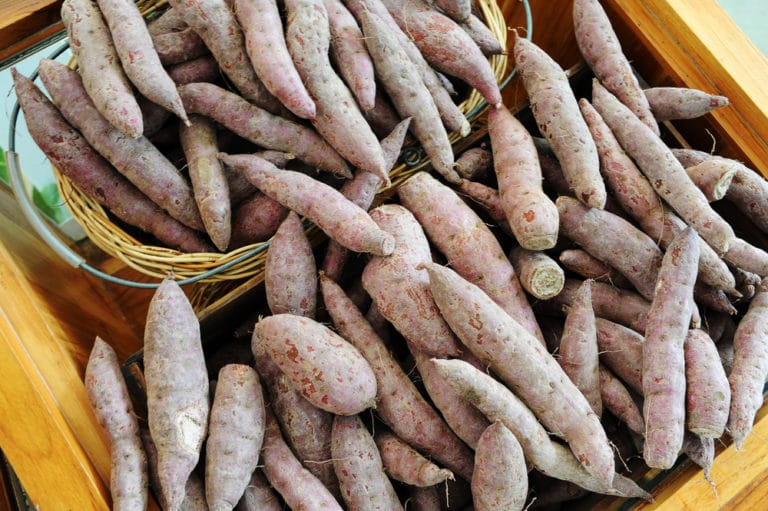 How to Grow Yams » Top Tips