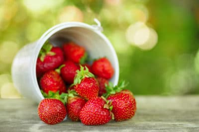 how-to-ripen-strawberries