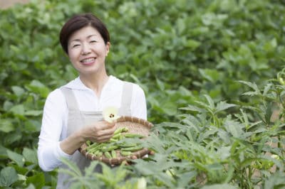 when-to-pick-okra