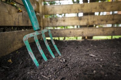 strawberry-fertilizer