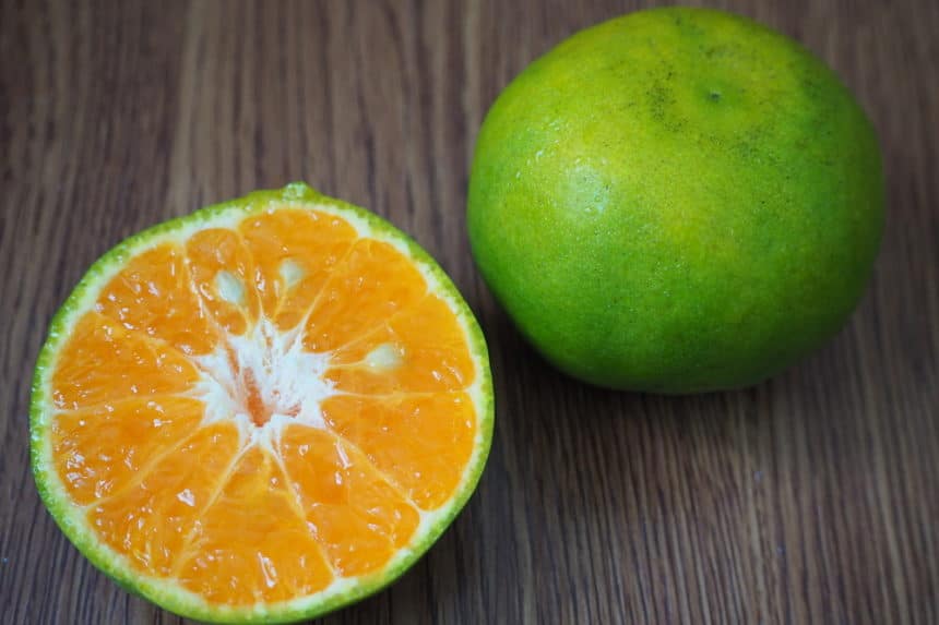 Green Oranges » Top Facts & Tips