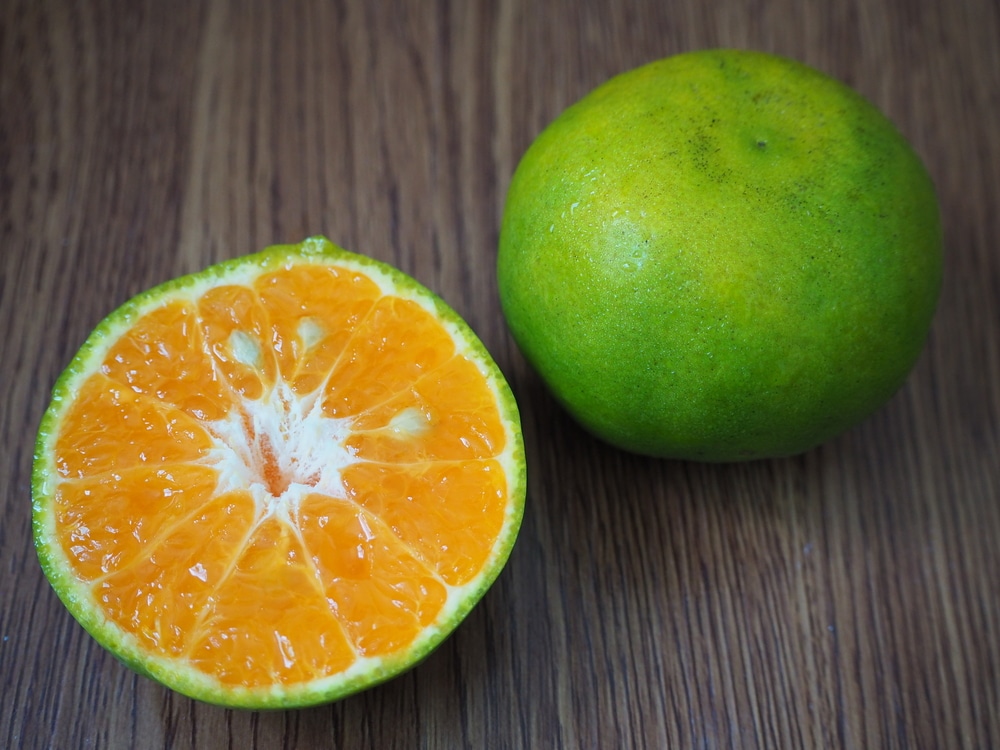 Green Oranges » Top Facts &amp; Tips