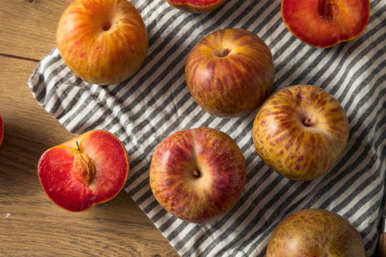 How to Grow Plums From Seed » Top Tips