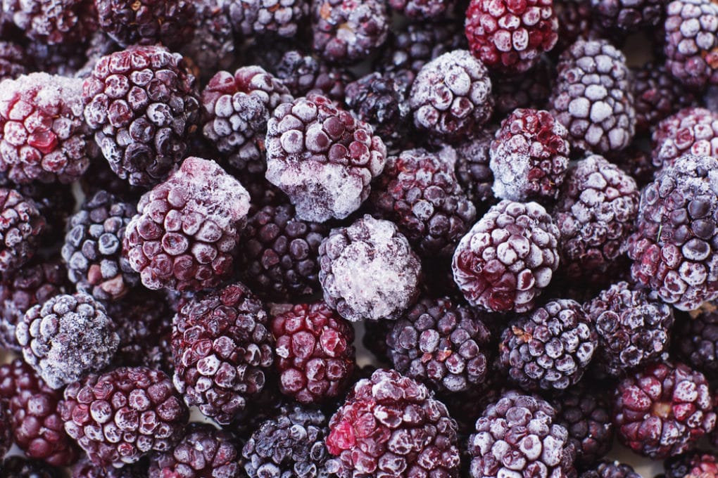 When Do Blackberries Ripen Enough for Harvesting? Garden.eco
