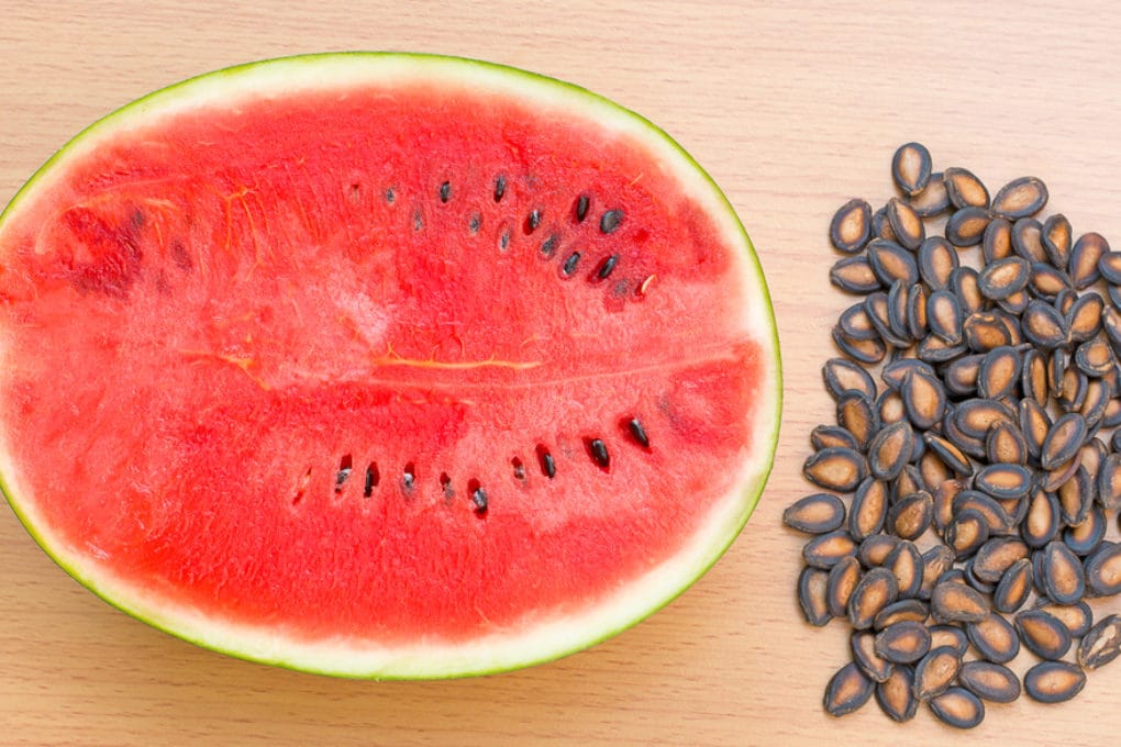 How to Save Watermelon Seeds » Top Tips