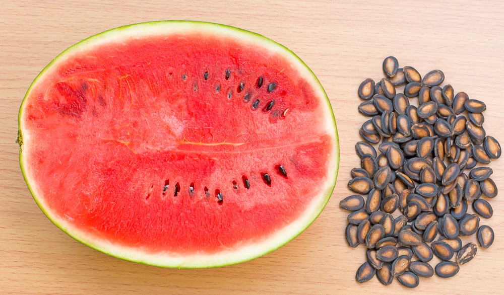 How to Save Watermelon Seeds » Top Tips