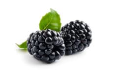 do-blackberries-have-seeds