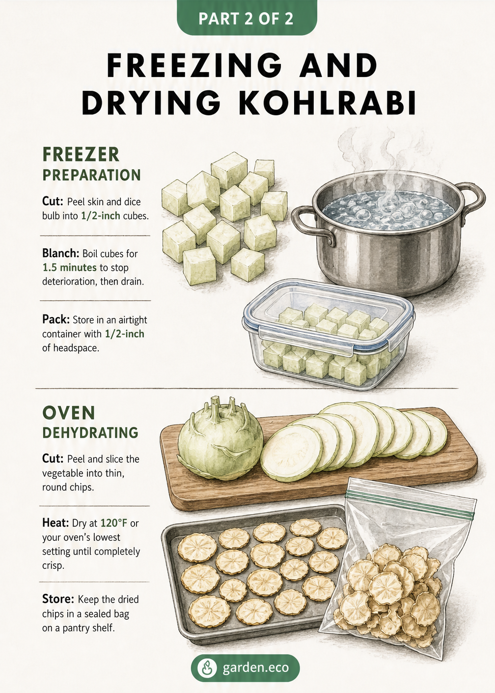 Illustration demonstrating how to freeze and dry kohlrabi
