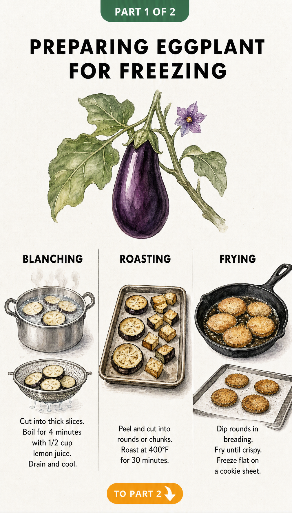 Illustration showing three methods for freezing eggplant: blanching, roasting, and frying.